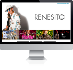 Renesito Avich Website Example